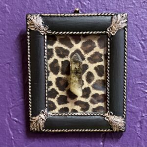 Smoky Quartz Point in Frame