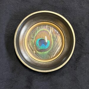 Framed Peacock Feather